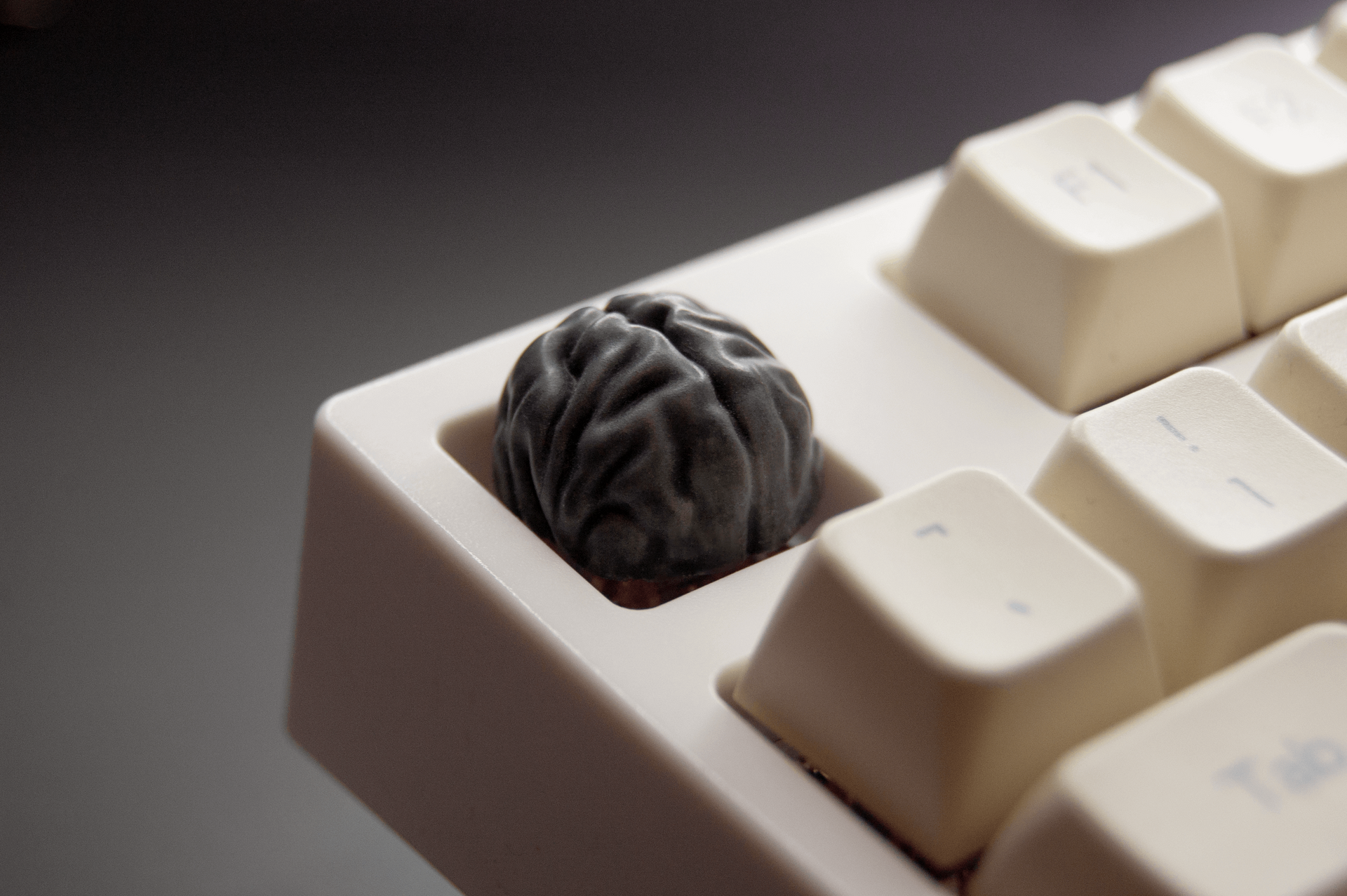 brainsssGREY-1-_2.png?v=