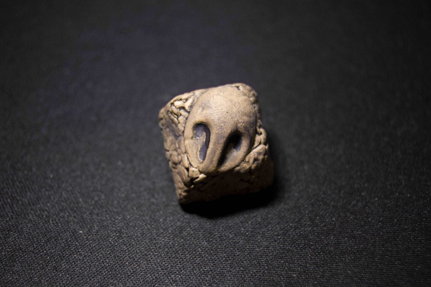 Dome Fossil Artisan Keycap